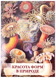 Красота форм в природе