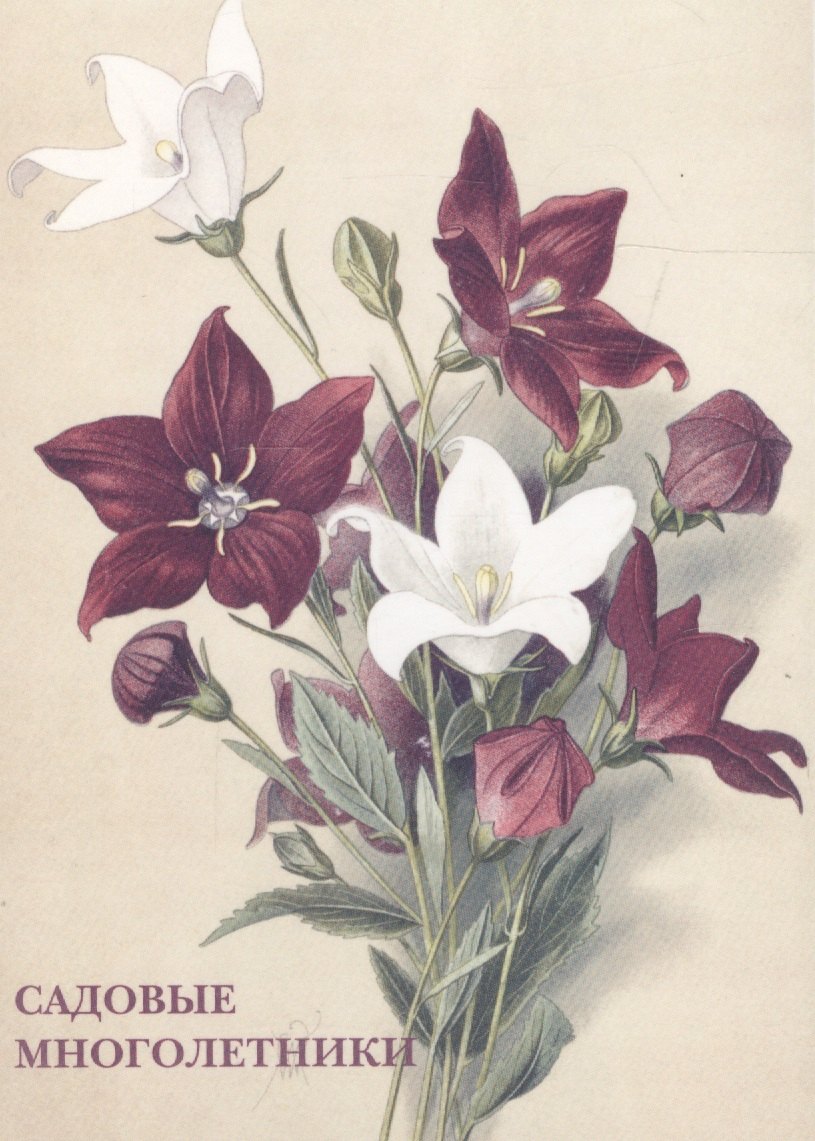 Садовые многолетники Набор открыток (упаковка)
