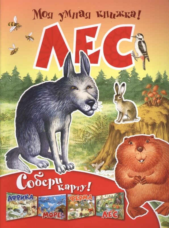 Лес. Собери карту 6+