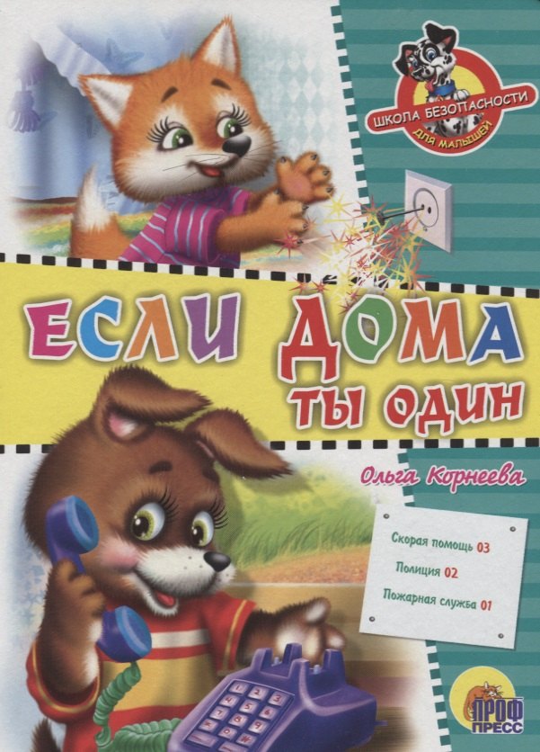 ЦК. ШКОЛА БЕЗОПАСНОСТИ. ЕСЛИ ДОМА ТЫ ОДИН