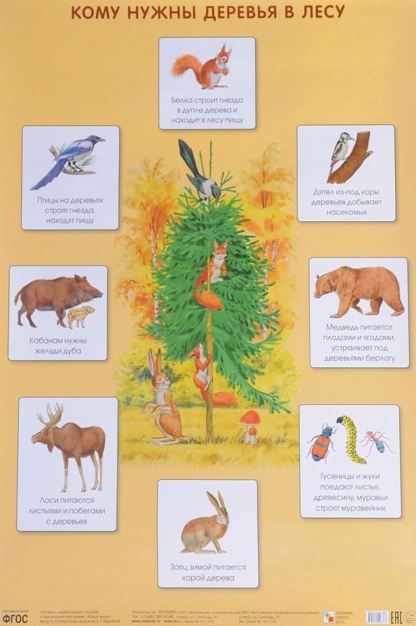 Кому нужны деревья в лесу 50 x 69