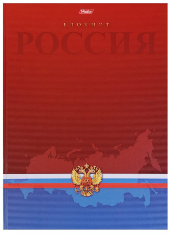 Книга для записей А4 80 листов клетка "Россия"