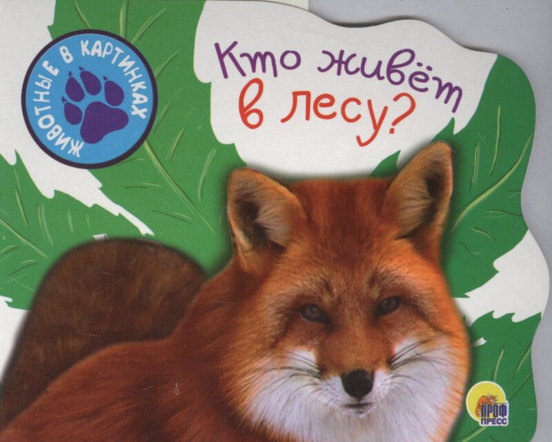 Кто живет в лесу