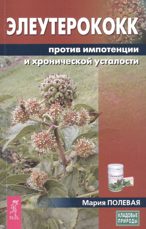 Элеутерококк против импотенции и хронической усталости