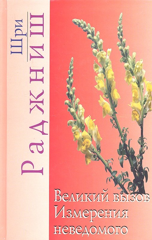 Великий вызов. Измерения неведомого