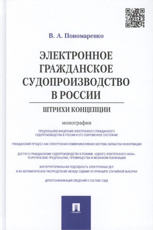 Электронное гражданское судопроизводство в России.Штрихи концепции.Монография.