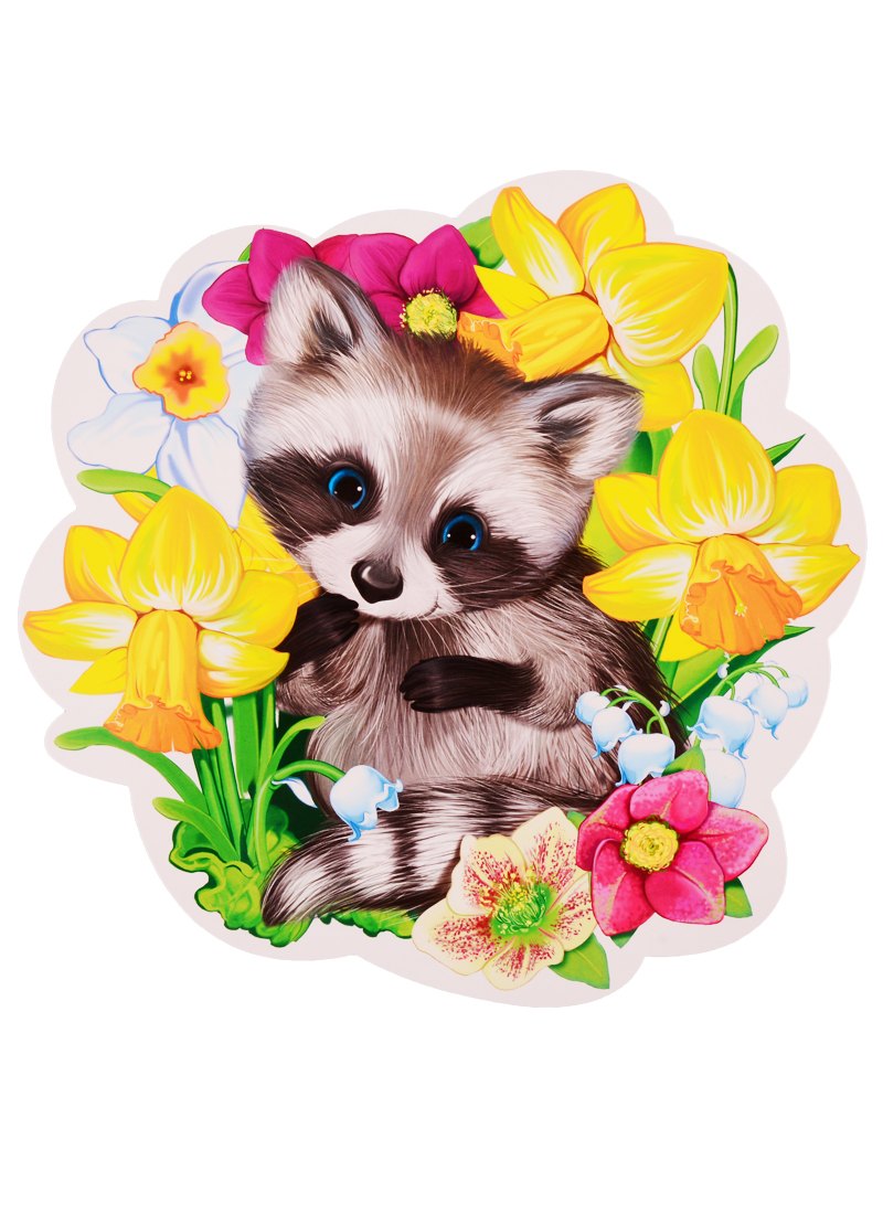 Плакат Енот весенний