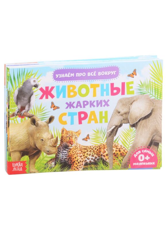 Обучающий набор "Узнаем про все вокруг" (комплект из 6 книг)