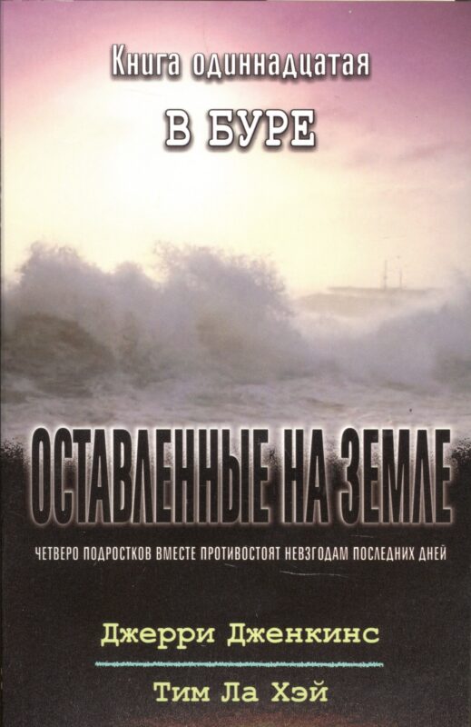 Оставленные на земле. Книга 11. В буре