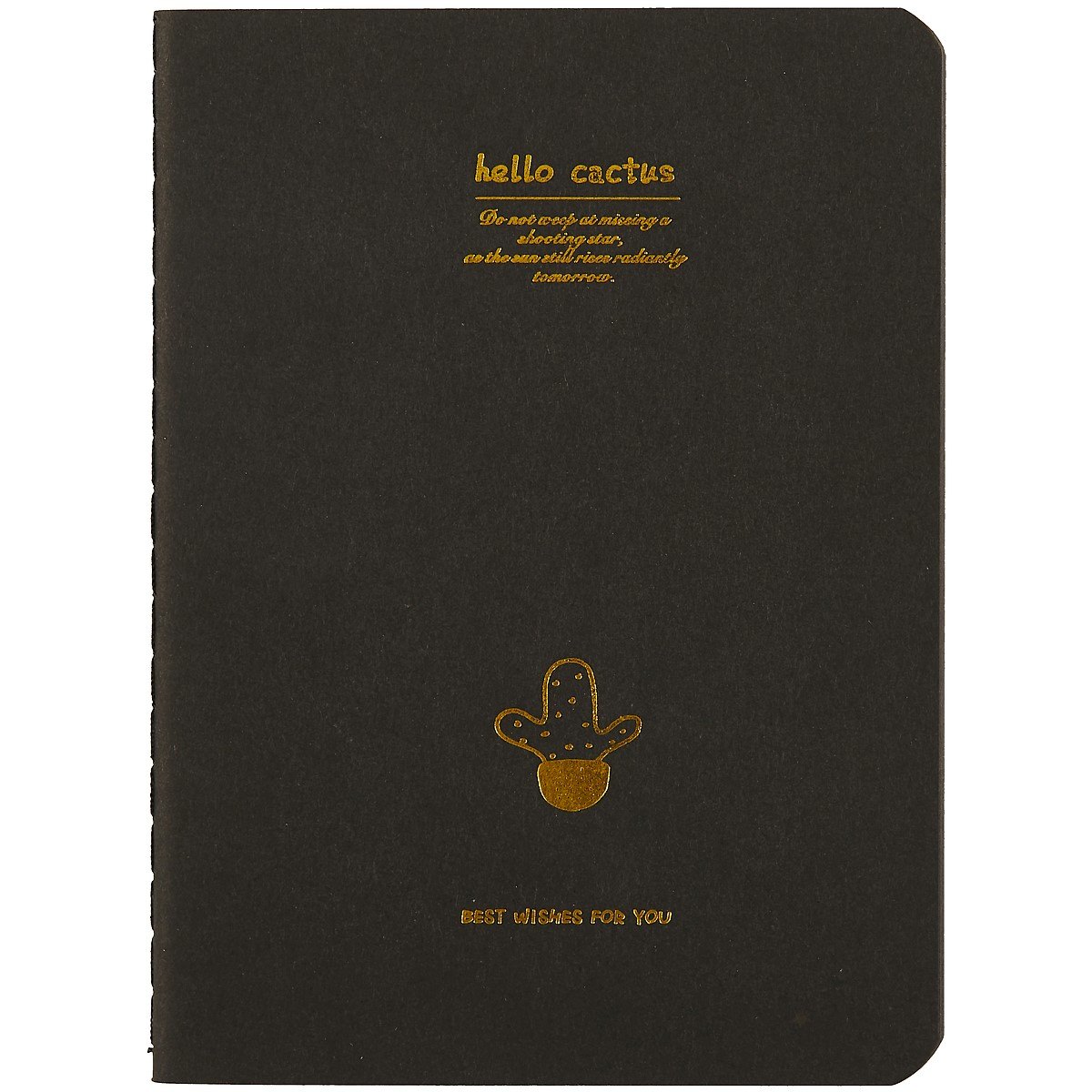 Записная книжка «Black Cactus», 28 листов, А6