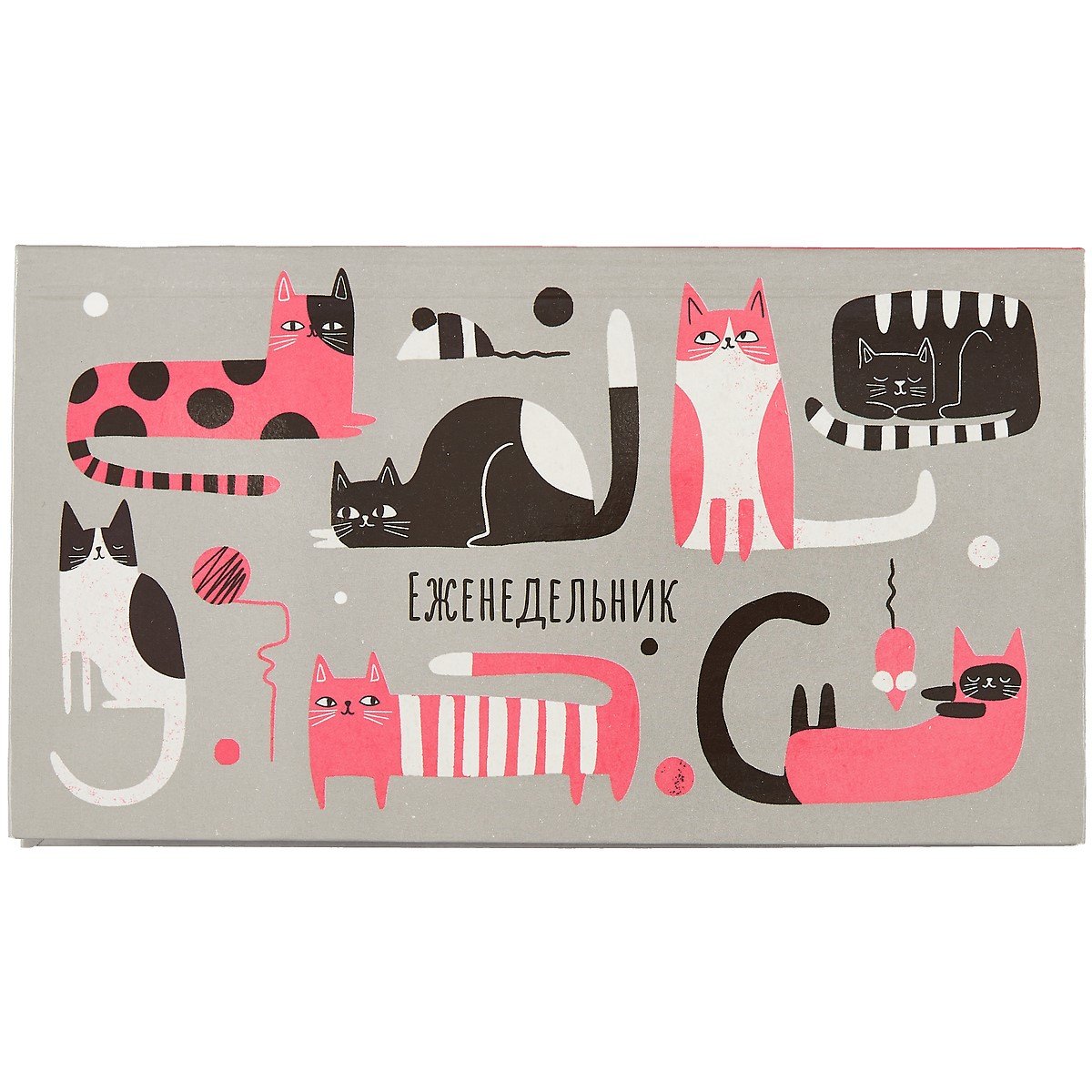 Планинг недат. 64л "Усатый-полосатый" карманный, интегр. переплет, глянц.лам.