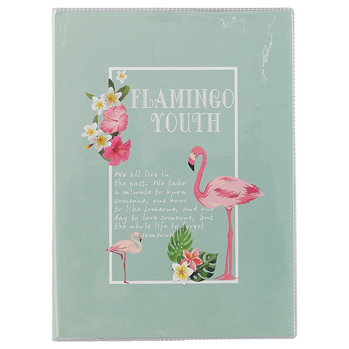 Тетрадь в линейку AnAn, Flamingo youth, 60 листов, в ассортименте