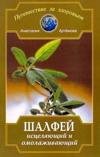 Шалфей исцеляющий и омолаживающий
