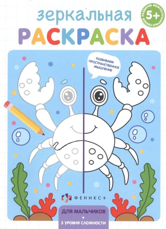 Зеркальная раскраска. Для мальчиков