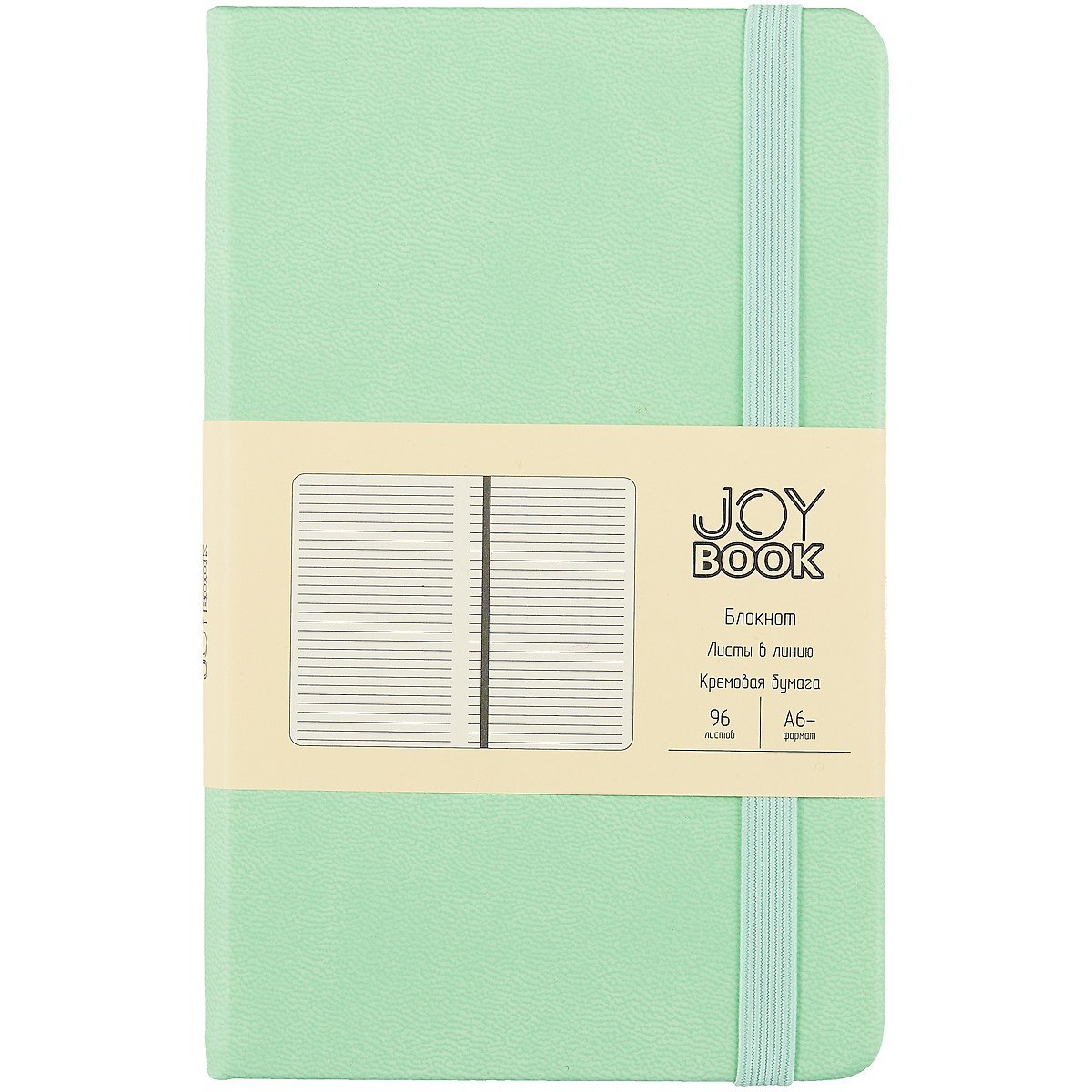 Записная книжка А6 96л лин. "Joy Book. Снежная мята" иск.кожа, тв.переплет, ляссе, резинка, инд.уп.
