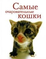 Самые очаровательные кошки
