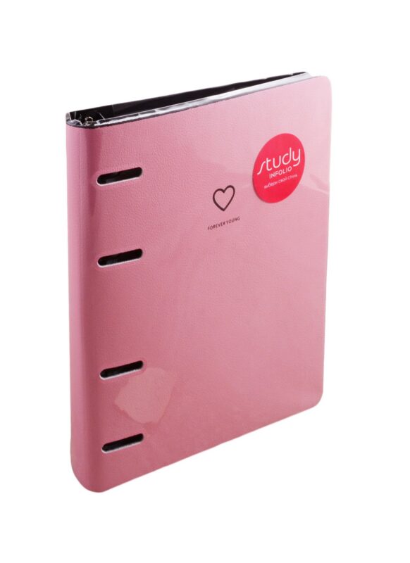 Тетрадь на кольцах в клетку InFolio, Rock-n-roll, 120 листов