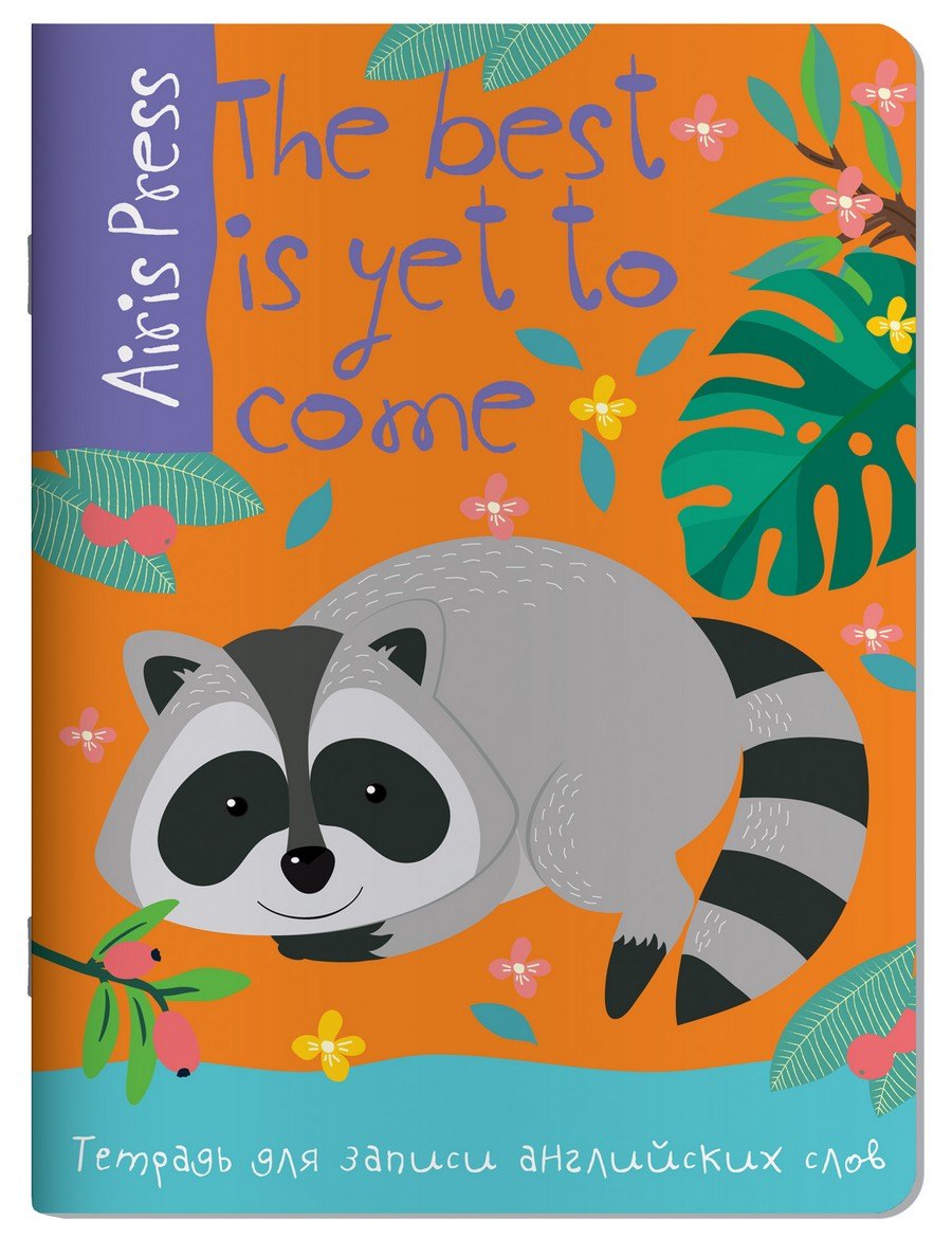Тетрадь для записи английских слов Айрис, "Енот", А5, 32 листа, в ассортименте