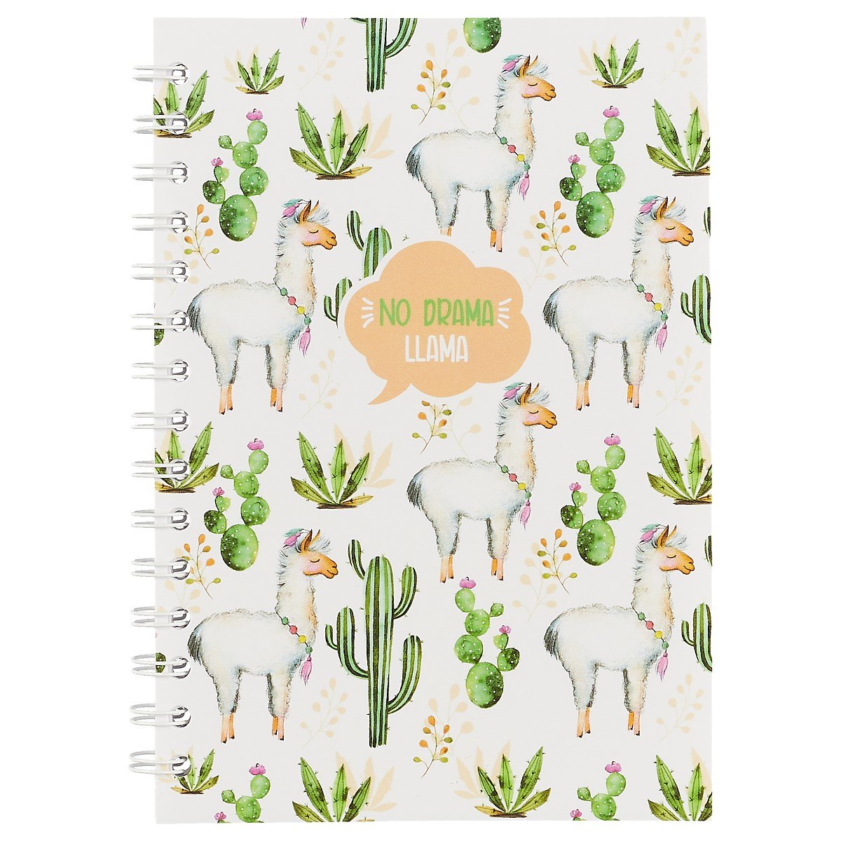 Тетрадь в клетку Hai Bin, No drama llama, 80 листов