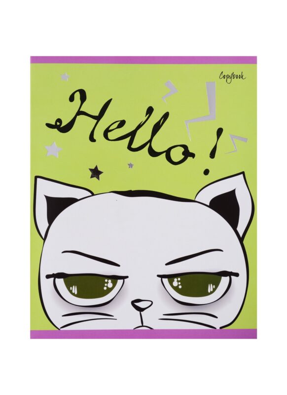 Тетрадь в клетку Unnika, "Стильная бригада", 48 листов, в ассортименте