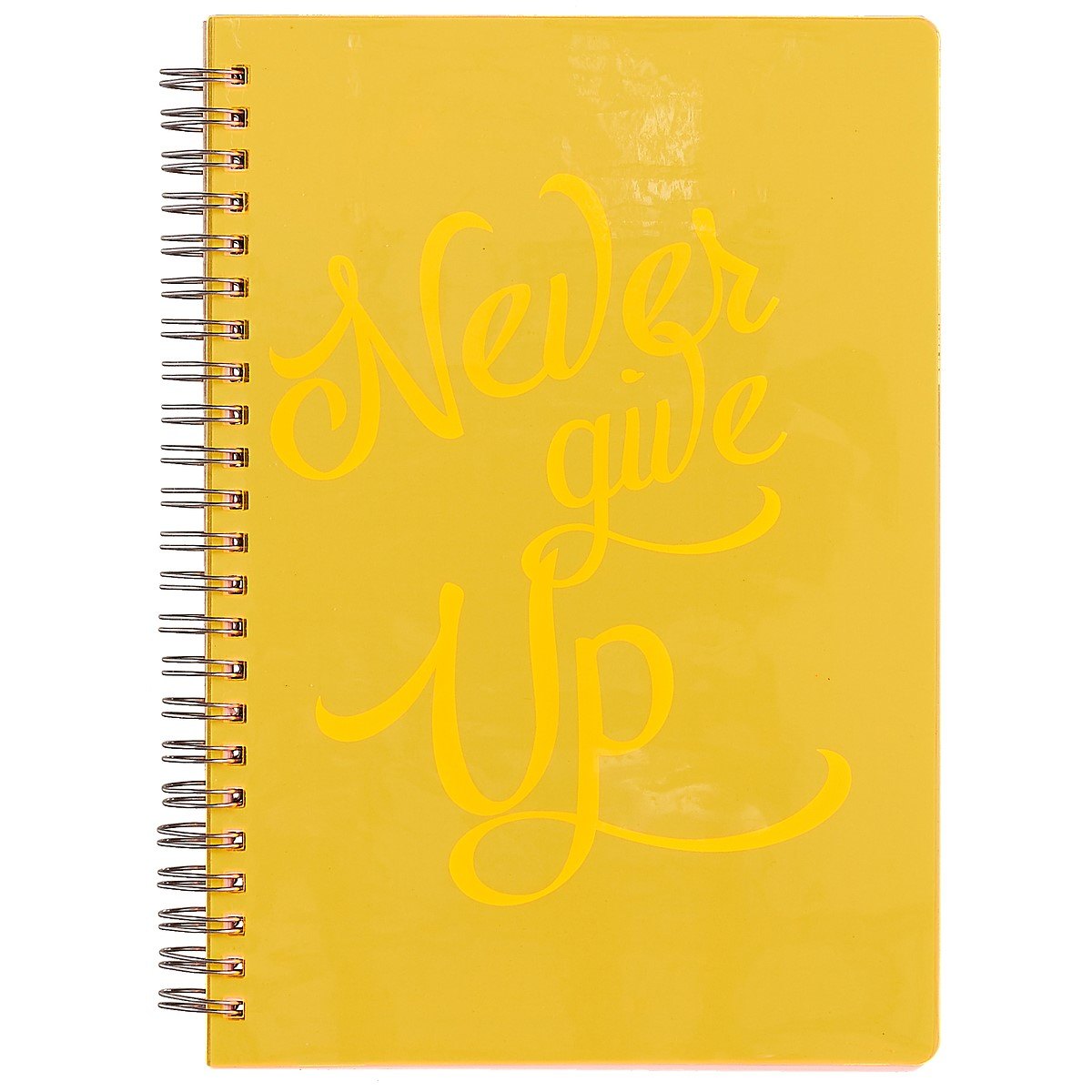 Тетрадь в клетку Paper Art, "Light book. Оранжевый", 80 листов