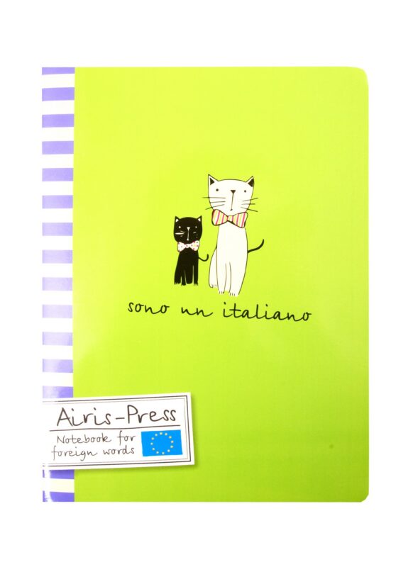 Тетрадь для записи иностранных слов Айрис, "Мистер Кот", А5, 32 листа