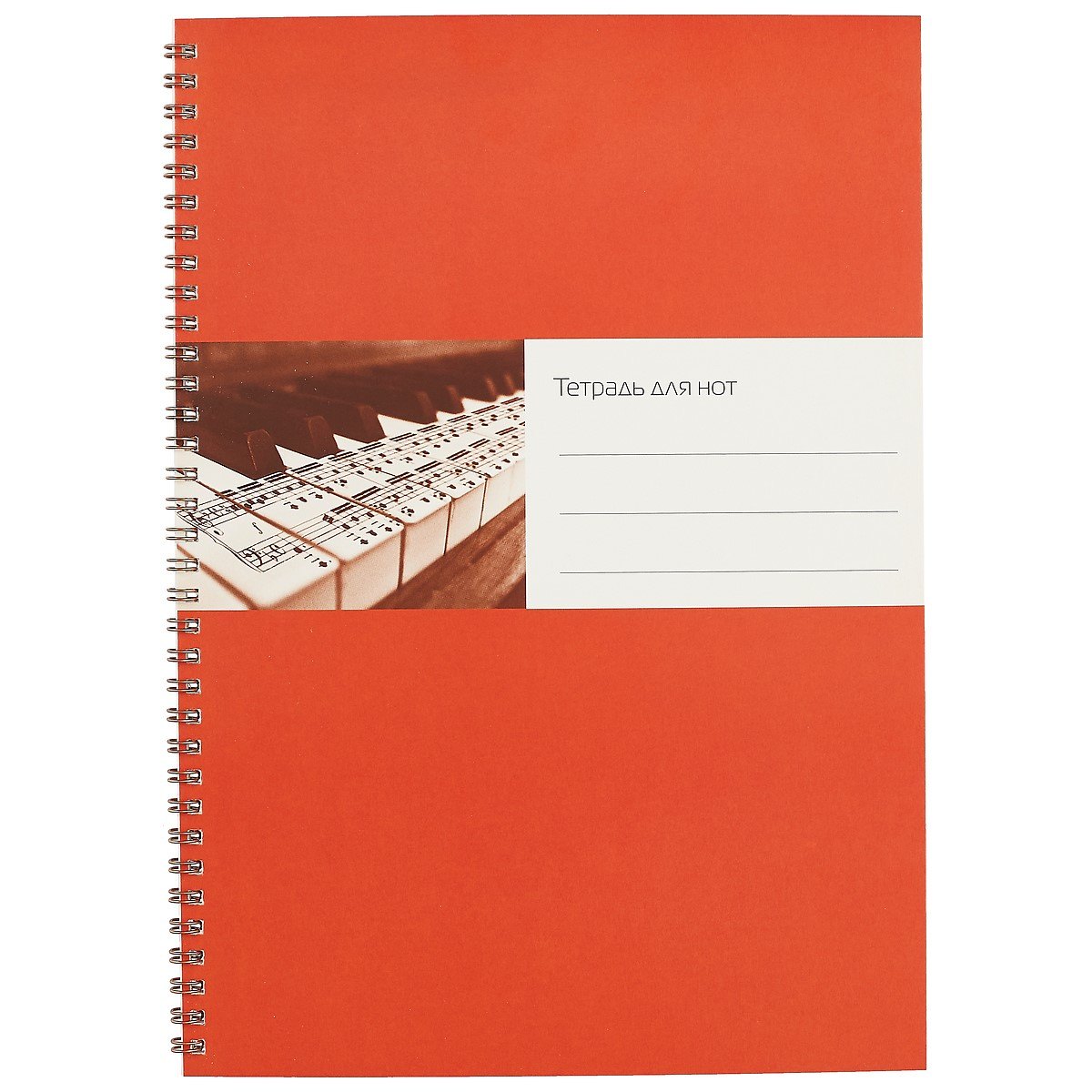 Тетрадь для нот Перископ, "Ноты на клавиатуре", А4, 24 листа