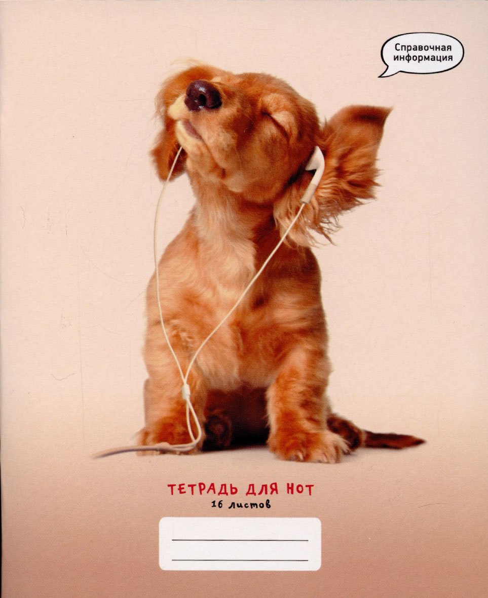 Тетрадь для нот Listoff, "Любимая музыка", А5, 16 листов