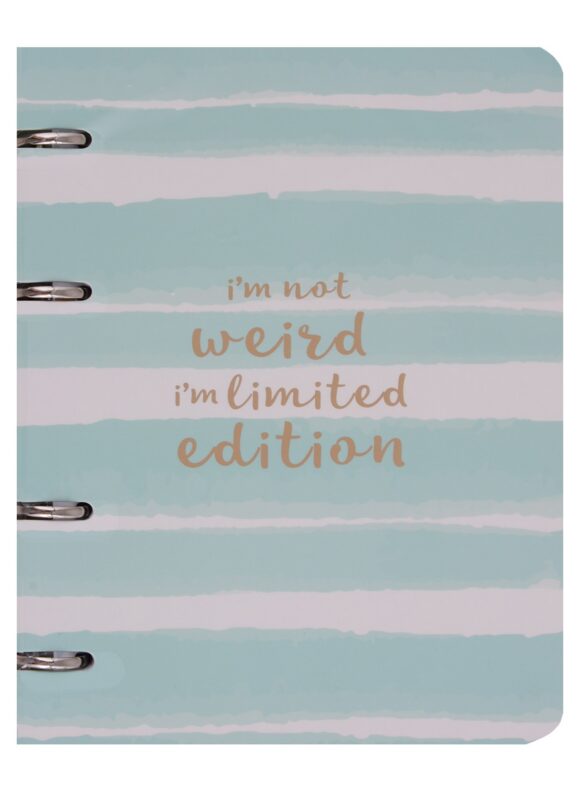 Тетрадь на кольцах в клетку Be Smart, Aquarelle, 120 листов