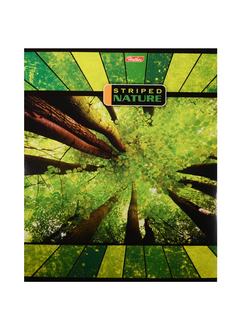 Тетрадь в линейку Hatber, "Полосатый мир", 96 листов, в ассортименте