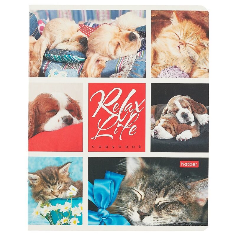 Тетрадь в клетку Hatber, Relax Life, 24 листа, в ассортименте