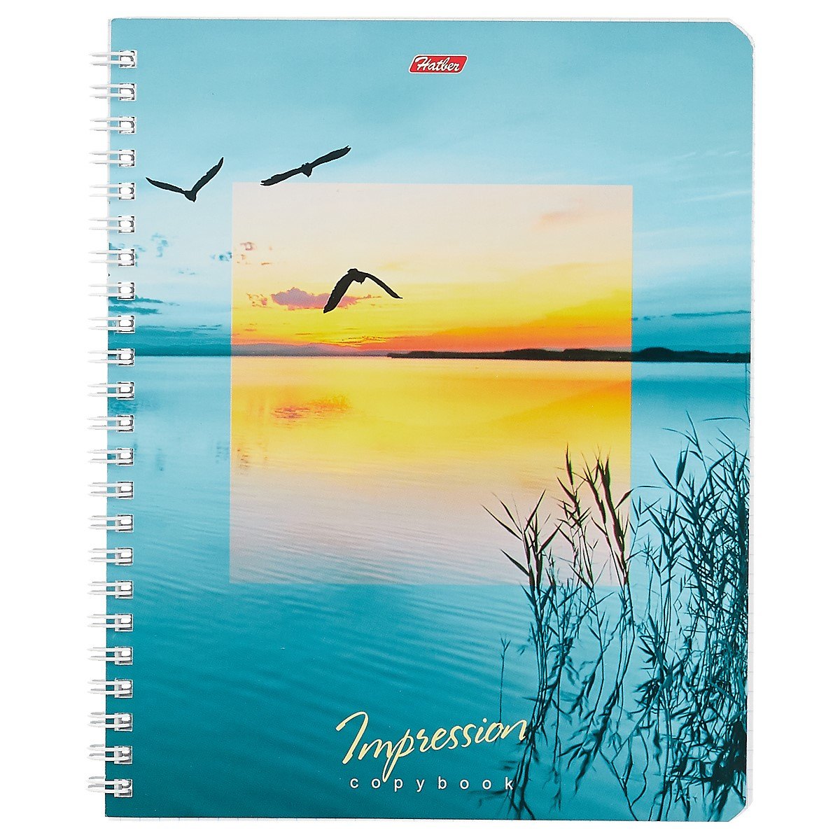 Тетрадь в клетку Hatber, Impressions, 80 листов, в ассортименте