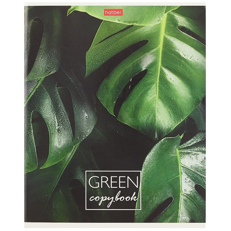 Тетрадь в клетку Hatber, MOREgreen, 96 листов, в ассортименте