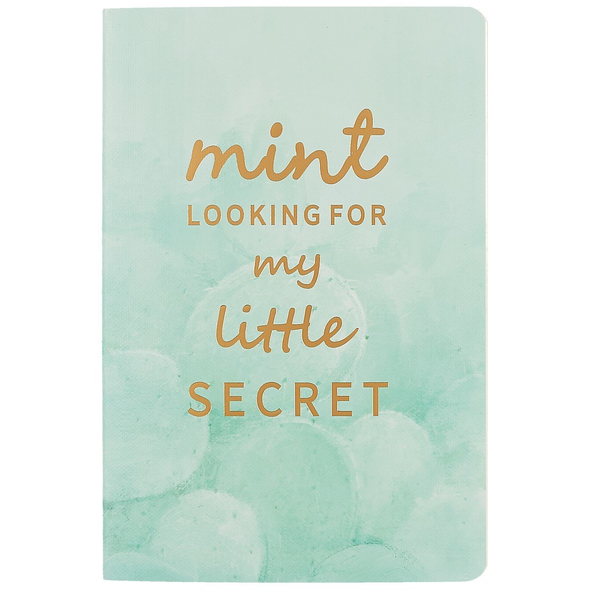 Тетрадь в клетку Languo, Mint, 40 листов, в ассортименте