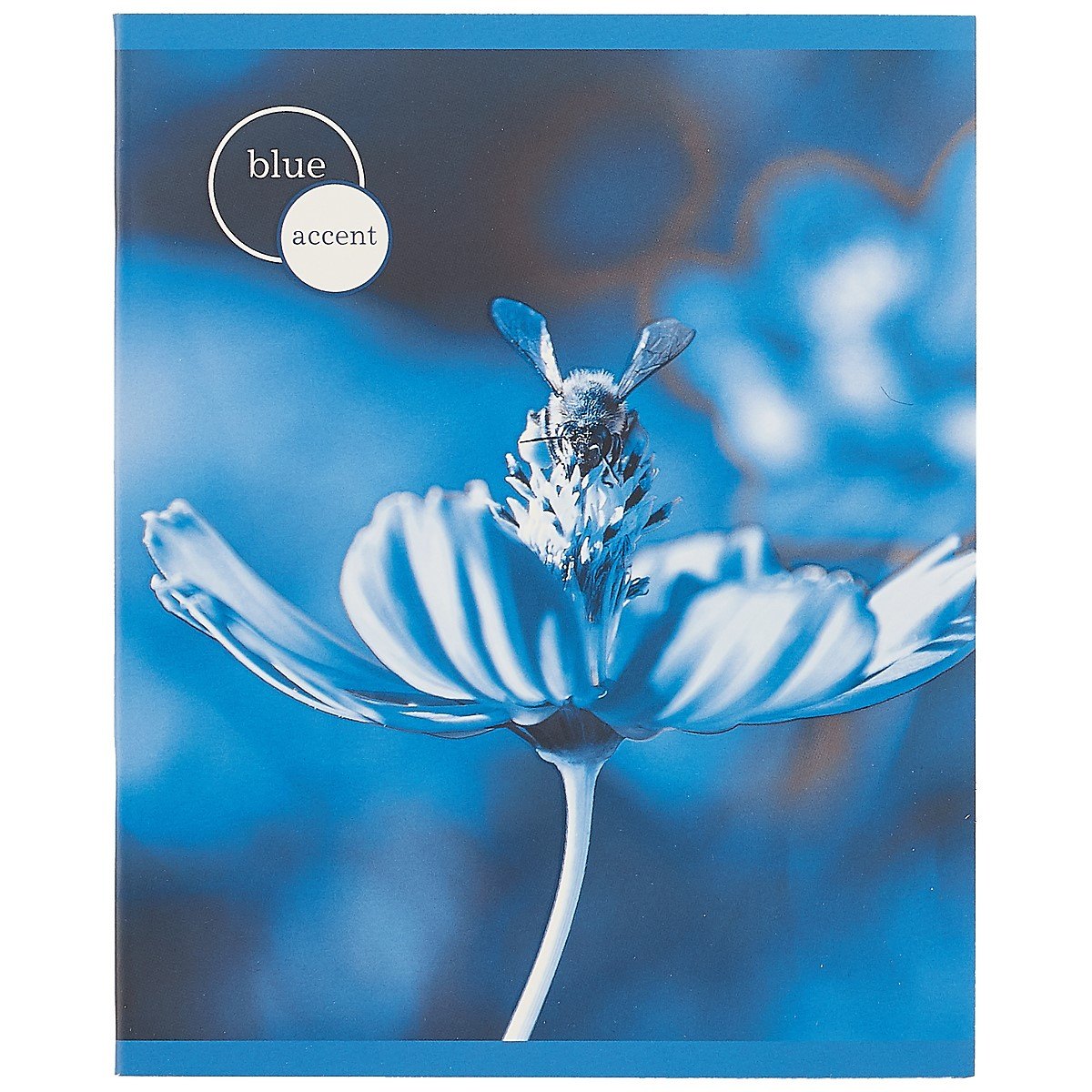 Тетрадь в клетку Listoff, "Нежные цветы", 48 листов, в ассортименте