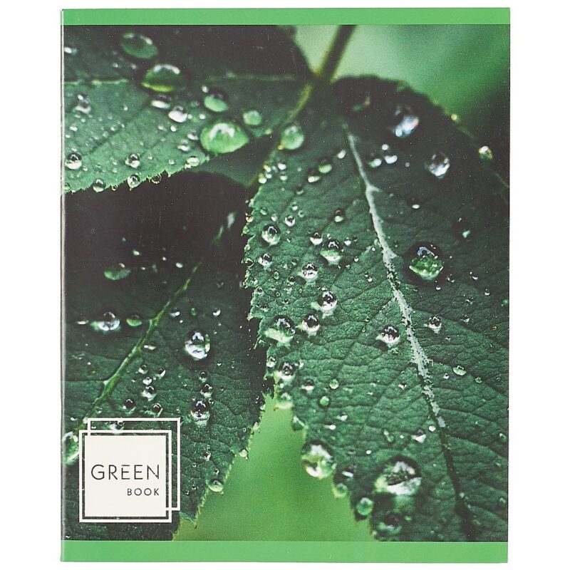 Тетрадь в линейку Listoff, "Листья в росе", 48 листов, в ассортименте