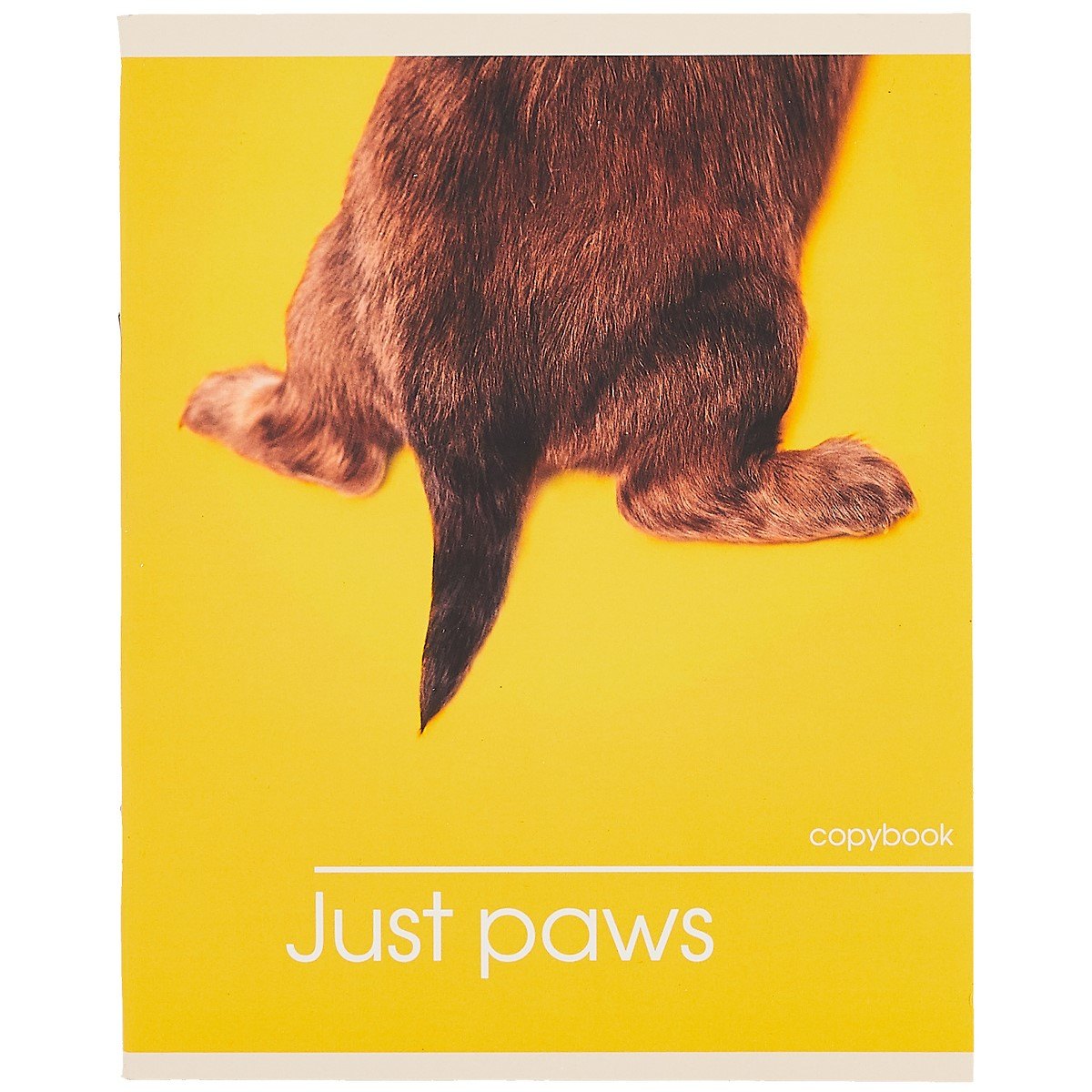 Тетрадь в клетку Listoff, "Лапки", 48 листов, в ассортименте