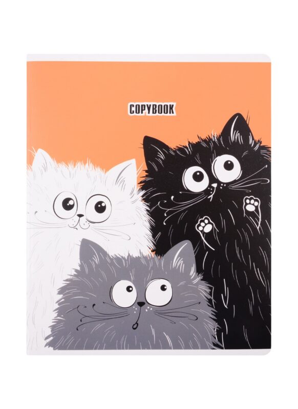 Тетрадь в клетку Феникс+, "Удивлённые коты", 48 листов, в ассортименте