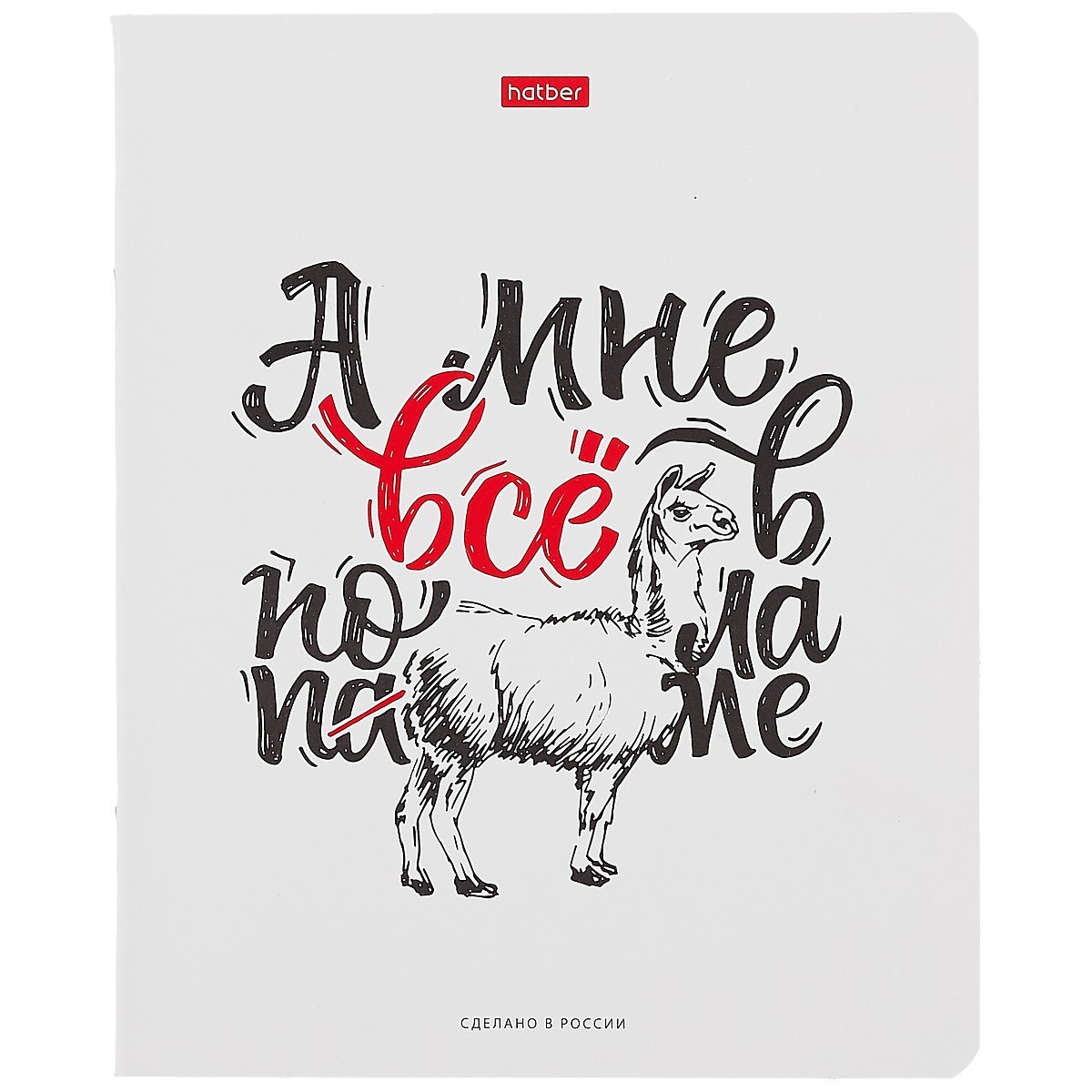 Тетрадь в клетку Hatber, "Ой, всё!", 48 листов, в ассортименте