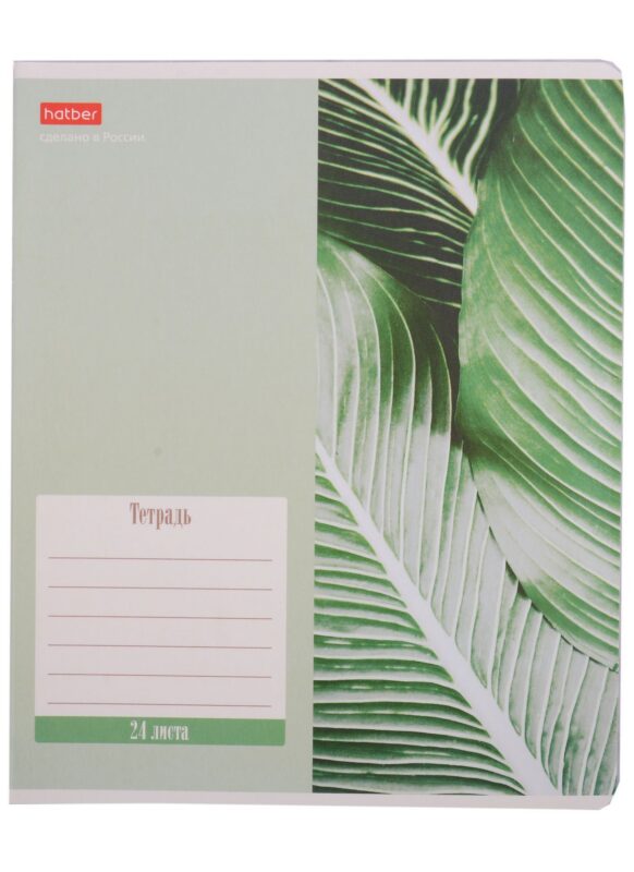 Тетрадь в клетку Hatber, Nature, 24 листа, в ассортименте
