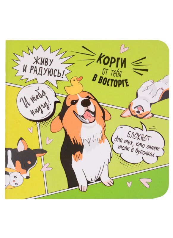 Записная книжка 130*130 32л тчк. "Корги" карт.обл., дизайнерск.внутр.блок, ассорти