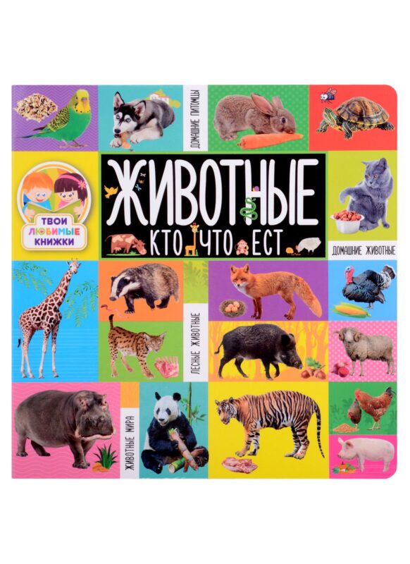 Животные. Кто что ест