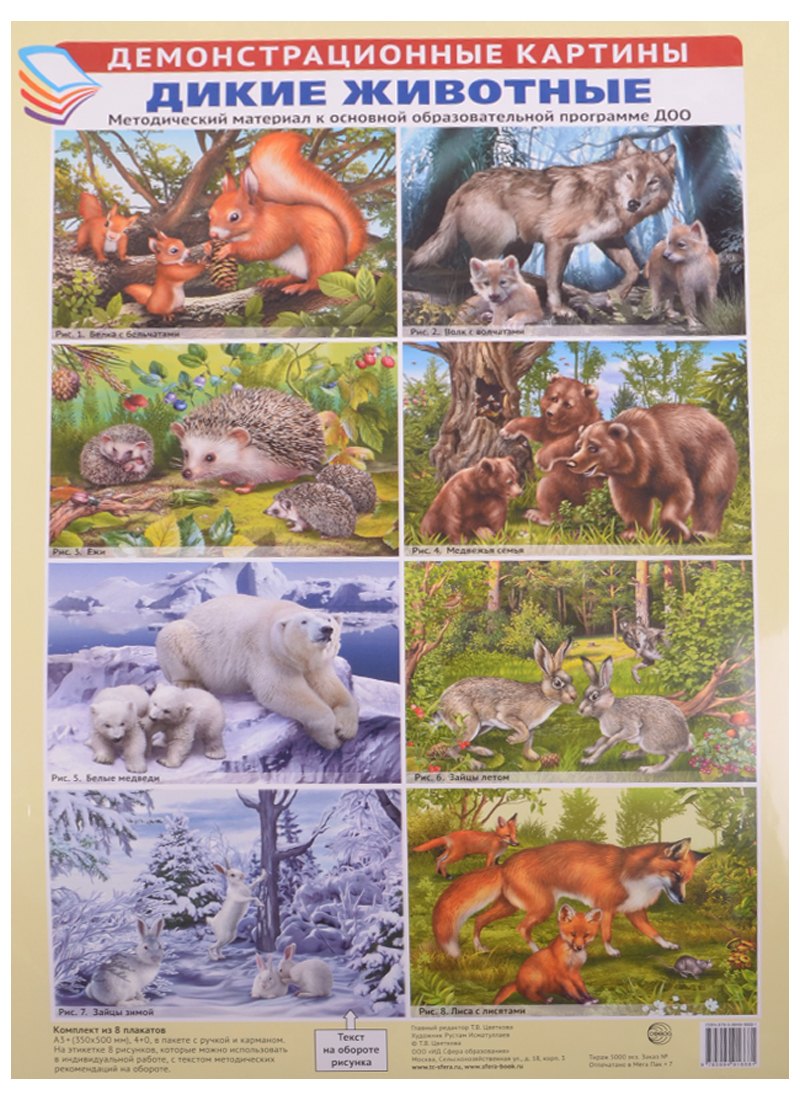 Демонстрационные картины. Дикие животные. Методический материал к основной образовательной программе ДОО