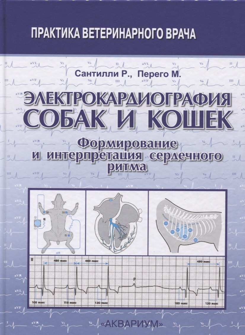 Электрокардиография собак и кошек. Формирование и интерпретация сердечного ритма
