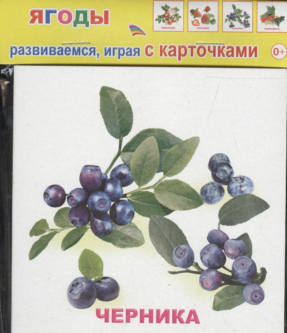 Обучающие карточки Ягоды (упаковка) (978-5-91282-662-7)