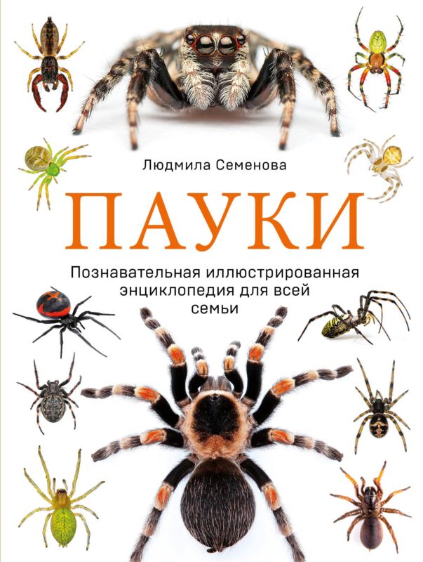 Пауки: познавательная иллюстрированная энциклопедия для всей семьи