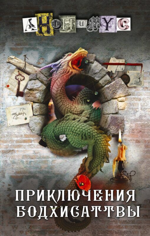 Приключения бодхисаттвы: роман