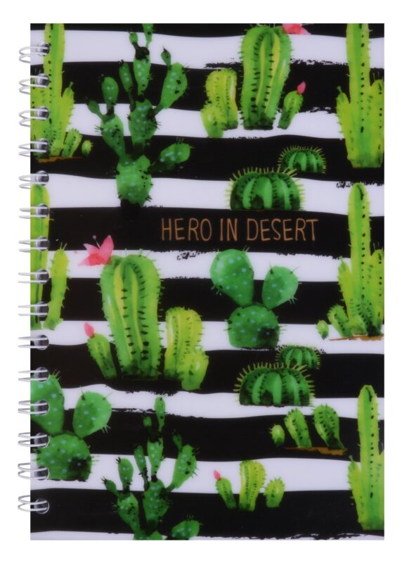 Тетрадь в клетку Hai Bin, Cactus, 96 листов, в ассортименте