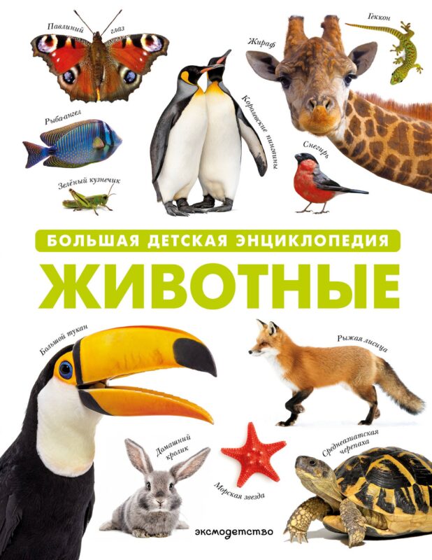 Животные. Большая детская энциклопедия