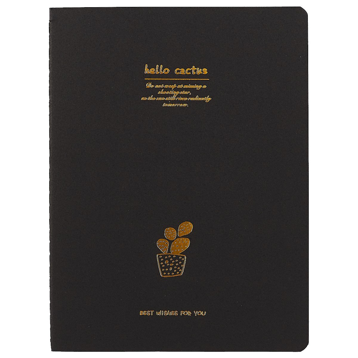 Тетрадь Black Cactus, B5, 28 листов, в ассортименте